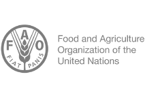 Food and Agriculture Organization of the United Nations logo