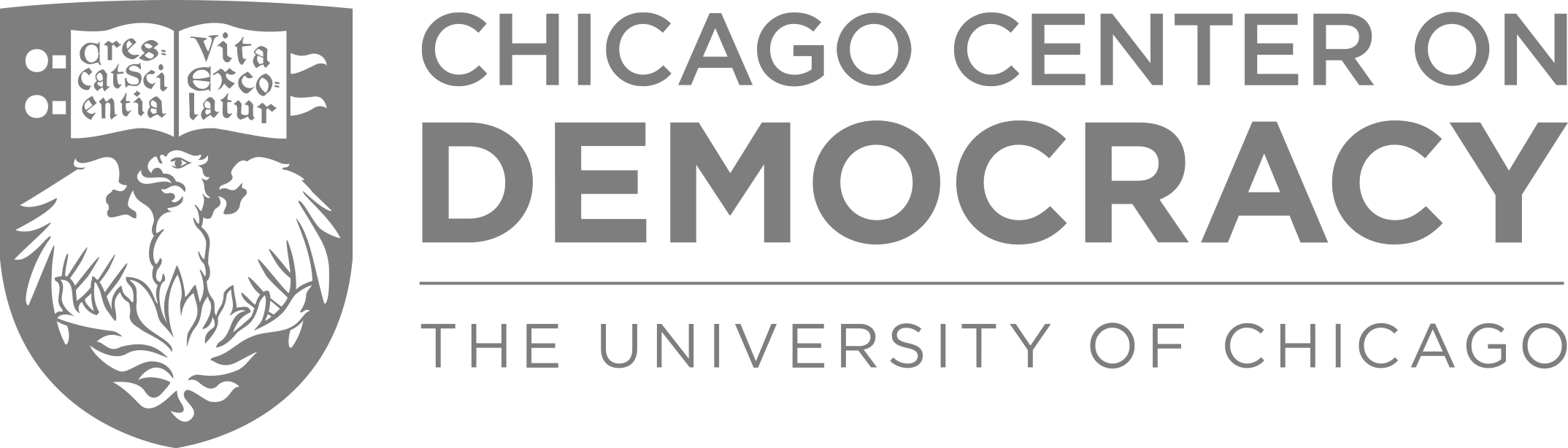 University of Chicago logo