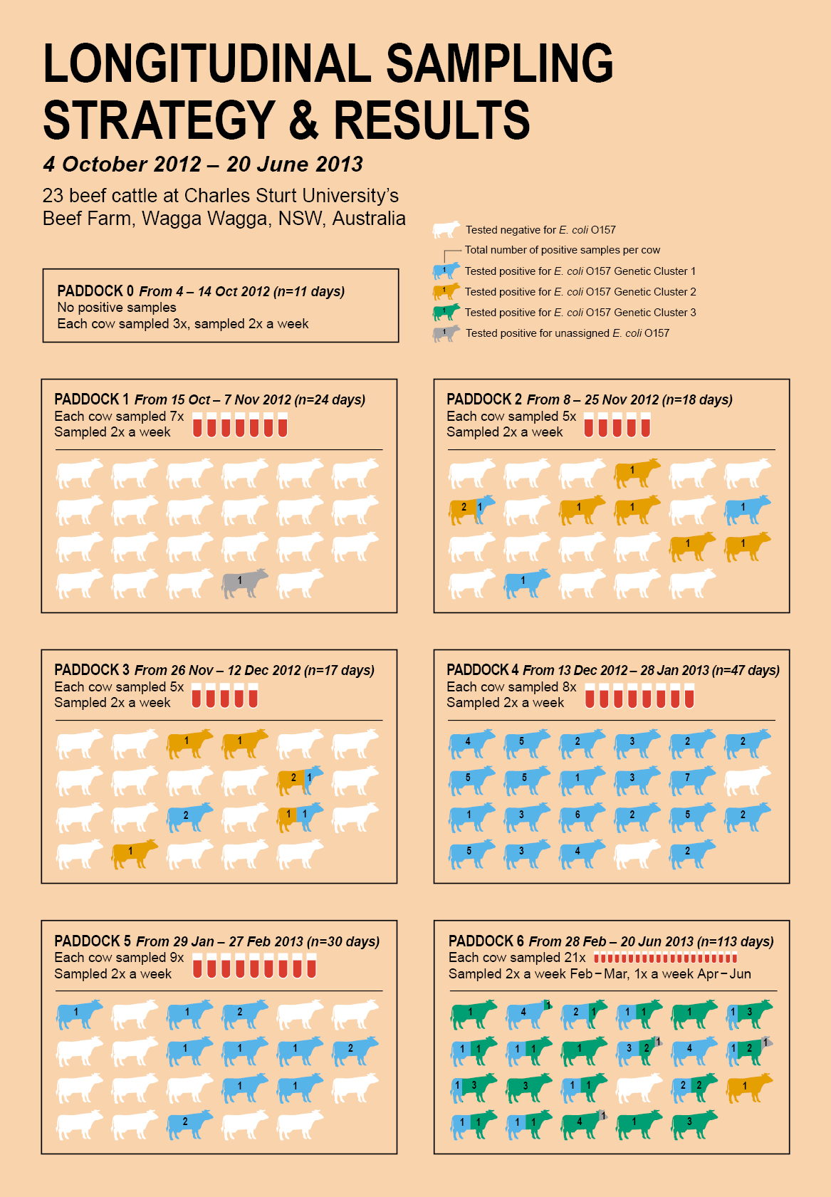 Ecoli LongitudeSampling Infographic 15122016 project image